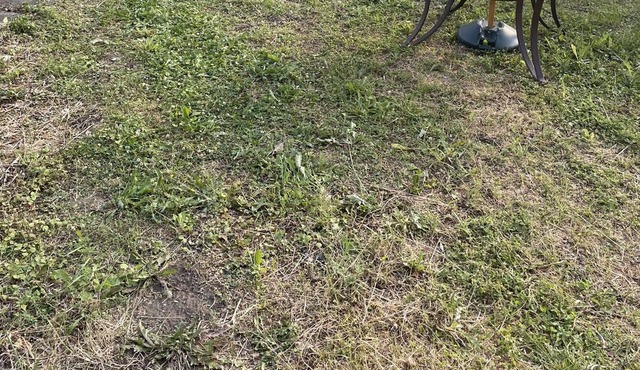 The Rainbow Cove