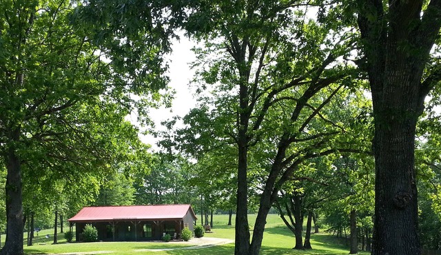 The Ranch House at Sky Hawk Ridge, a 185-Acre Refuge, ONE MILE to Buffalo River