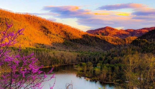 The Raven Mountain Lake House