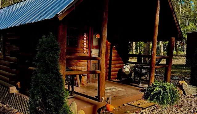 The Raven tiny log cabin in The Forest