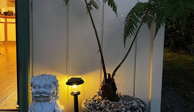 The Red Hibiscus Hale modern furnishings in a fantastic dry-side neigborhood