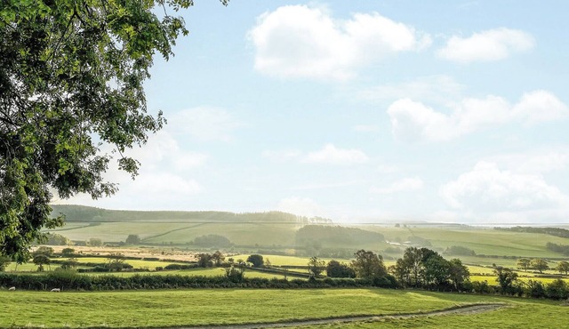 The Red House - UK39234