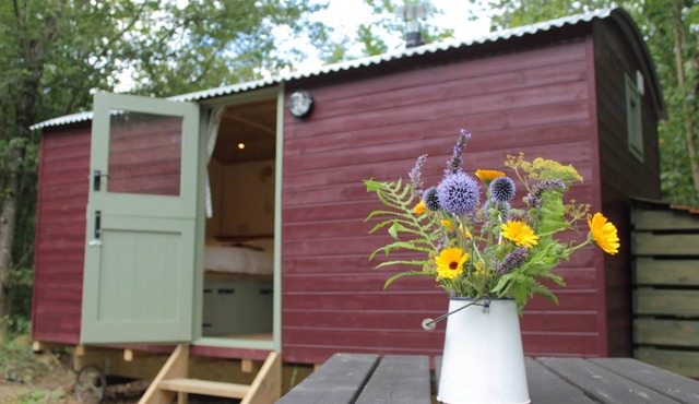 The Red Kite Shepherd's Hut