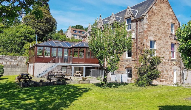 The Red Kite - UK31003