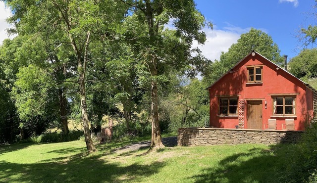 The Red Shed - A cosy woodland cabin with woodburner