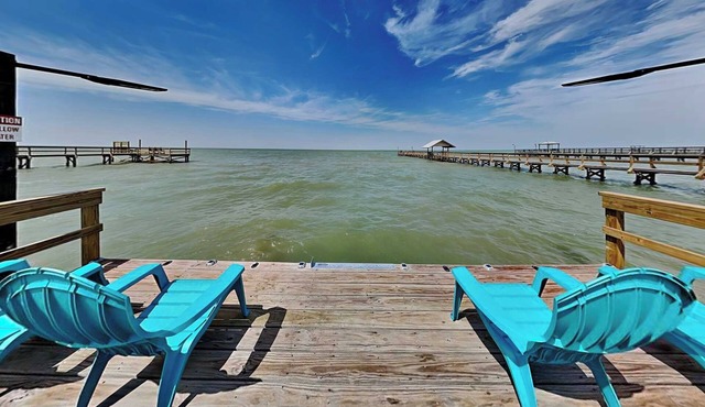 The Reel Mccoy by Miss Kitty’s