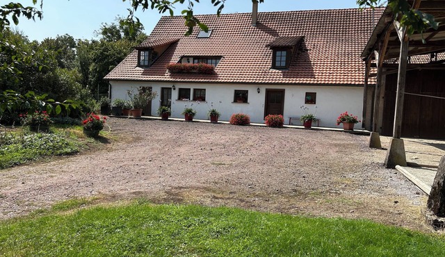 The renovated barn in the orchard