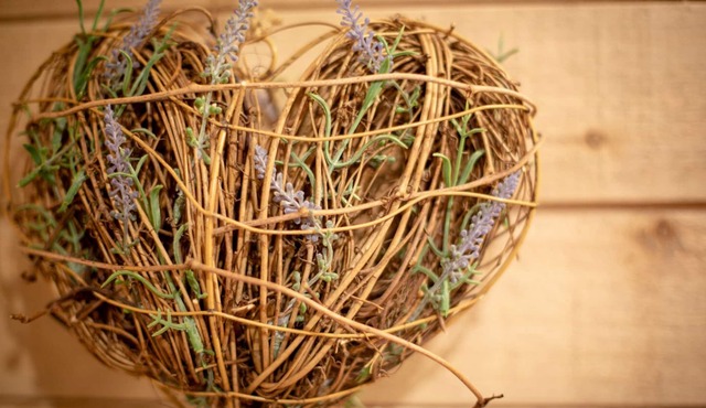 The rest of the Robin Hoods