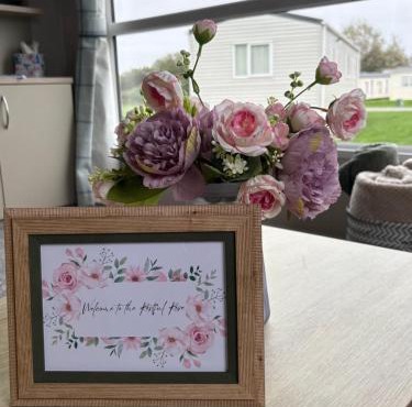 The Restful Rose at Chichester Lakeside