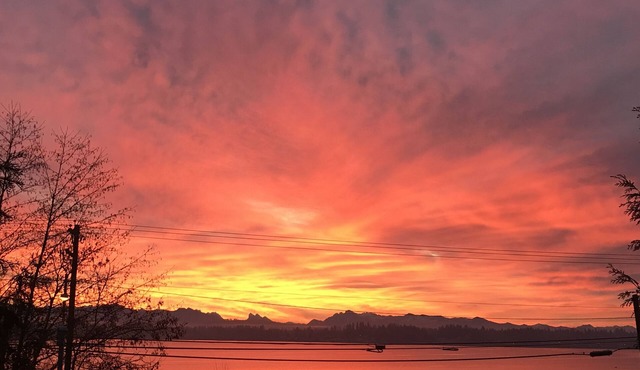 The Retreat - 2 Bedroom 1 Bath! Over 1k square feet!