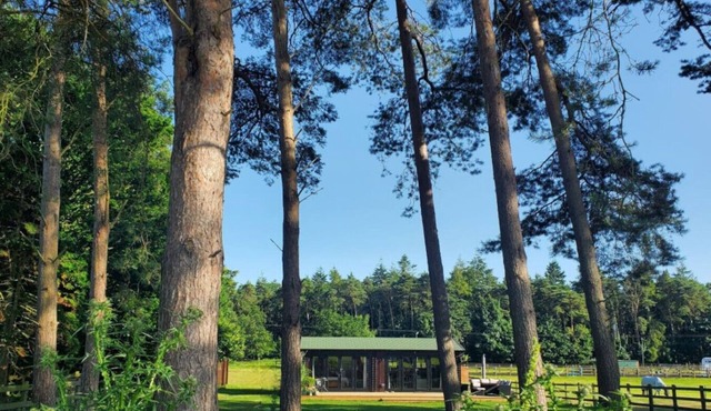 The Retreat Cabin in the woods