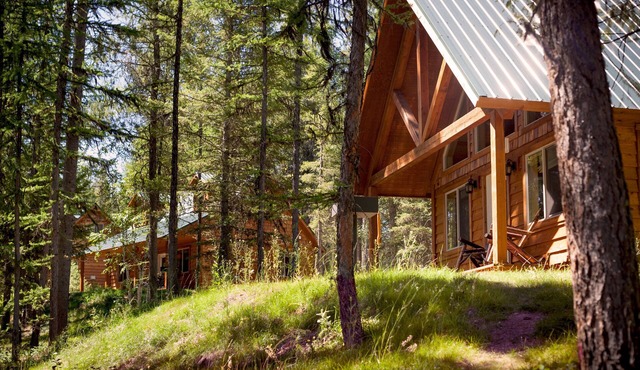 The Ridge At Glacier/Alpine Cabin #4