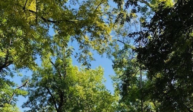 The River Bend Cottage