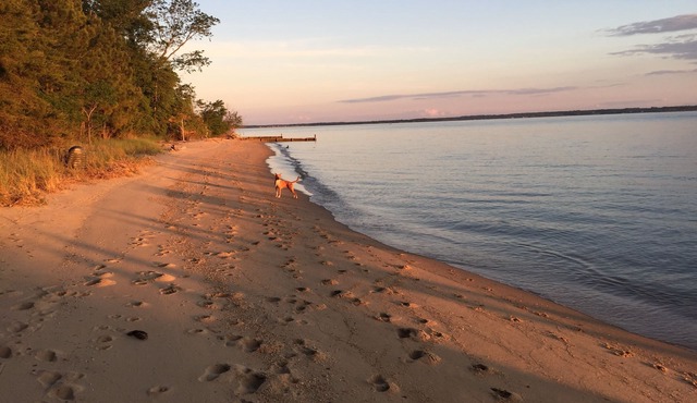 The River House at Whitestone: Pet Friendly, Secluded Private Beach, w/Kayaks!