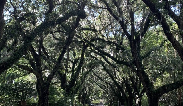 The Riverland Loft in Charleston, SC