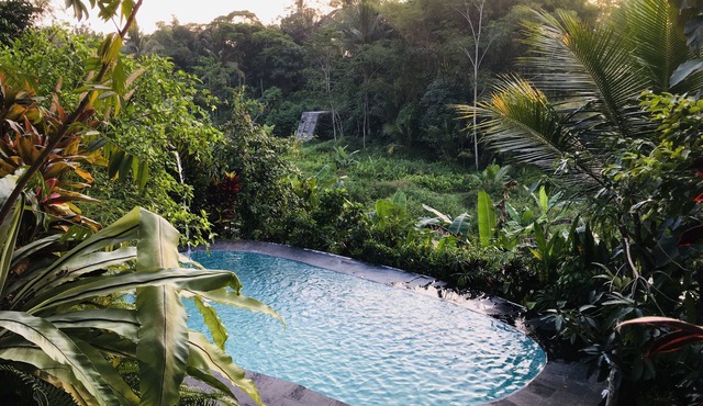 The Riverside Javanese Cottages