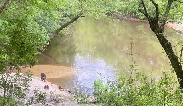 The Riverside Retreat