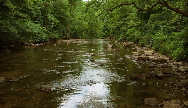The Rock Great Secluded Cabin for Fishing Hiking Swimming on 200 Acres