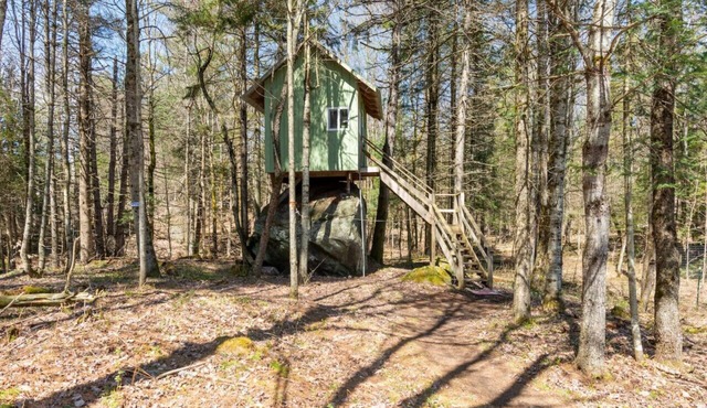 The Rock House up in the trees!