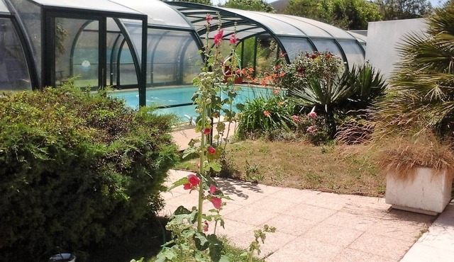 The Rocks BETTY Sands