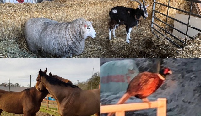 The Rolling Mill. Two bedroom first floor apartment. Wolds Way Holiday Cottages