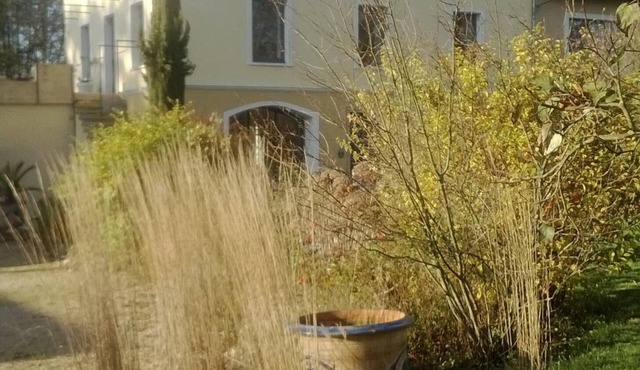 THE ROOM OF MEUNIER swimming pool