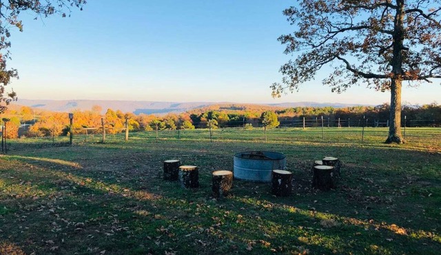 The Roost-Close to Buffalo River & Wilderness Rider