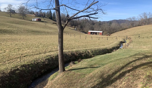The Roost @ Happy Hollow Farms