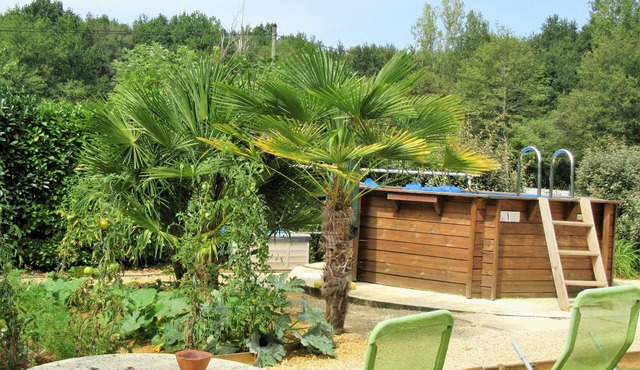 The rooster crowing in Bouriane
