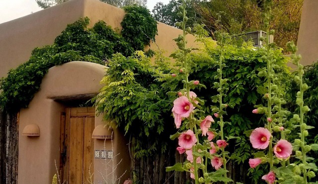 The Rose Casita of Santa fe - A Gorgeous Studio Casita.