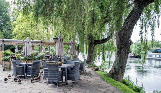 The Rose Revived By Chef and Brewer Collection