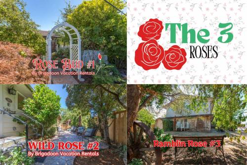 The Roses 3 units in the Heart of the City
