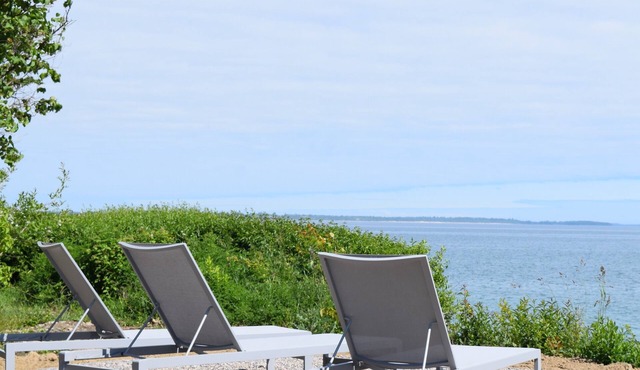 The Rowanwood | Wellington | 4 Bedrooms | Luxury Waterfront