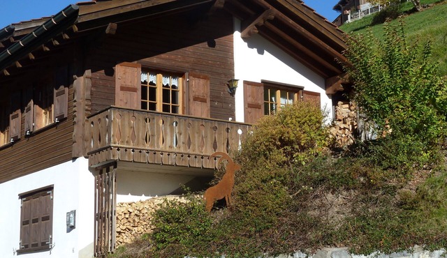 The rustic holiday home on the sunny slope