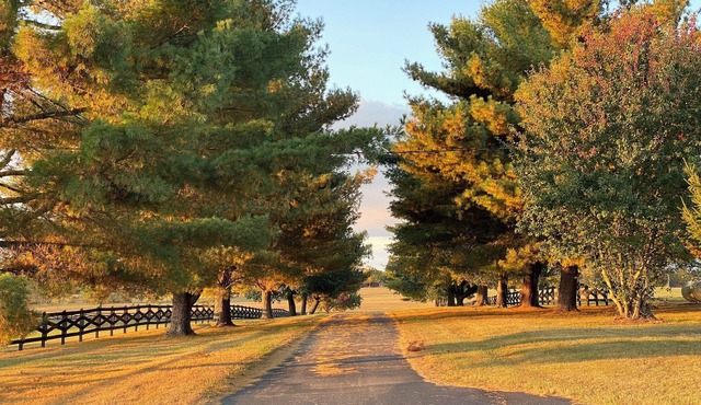 The Rustic Roost- at Donkeytown - Lake Monroe