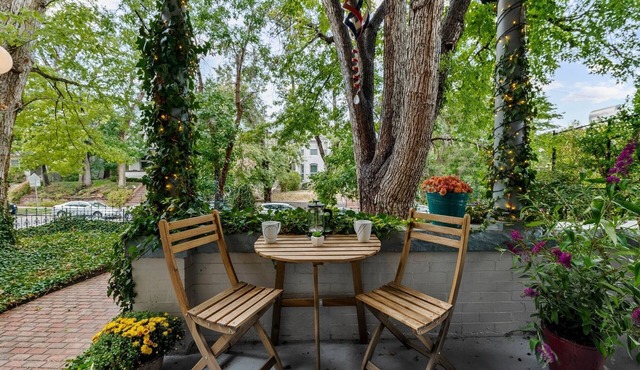 The SCOTTISH in Capitol Hill Patio Garage Beautiful Backyard