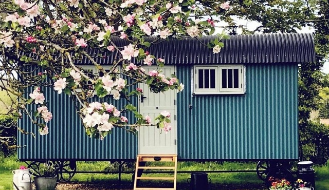 The Scrumpy Shepherd, Brandeston