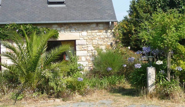 THE SEA / The sea is in the woods