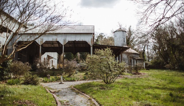 The Seed House: Renovated Octagonal Barn, Dog-friendly!