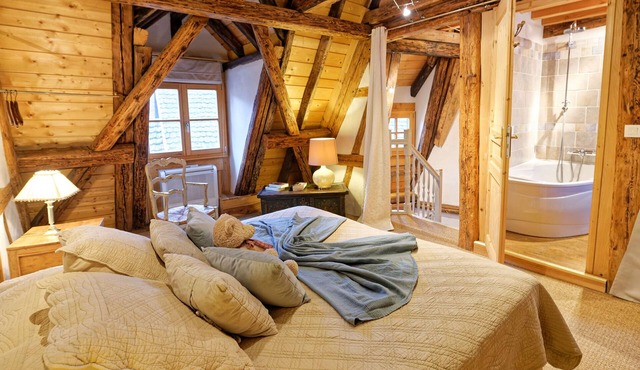 The Sentinel* - Romantic duplex apartment in the ramparts