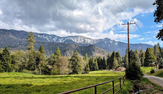 The Sequoia Time Capsule: Spa, Walk 2 Giant Sequoias, River, Fish, Bike, Saloon