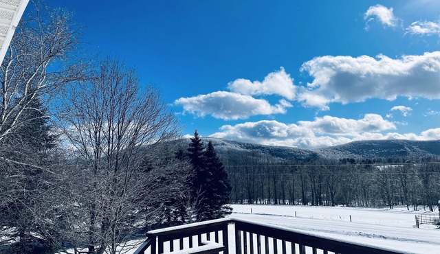 The Serene Gem! 10 min to Windham! 20 min to Hunter!