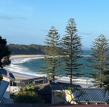 The Shack at Black Head