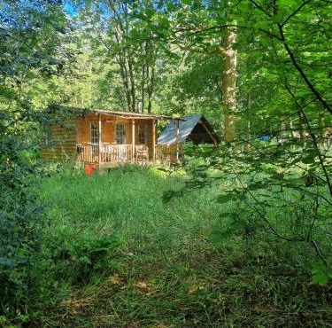 The Shack in the Woods- Off Grid