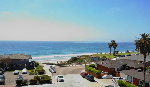 The Shark - Pacific Beach
