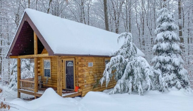 The Shawnee Cabin w/Queen Bed