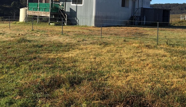 The Shearing Shed Yarrowitch
