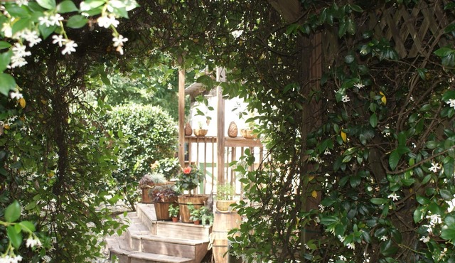 The Shebeen A small Irish cottage,come experience the enchantment and trnquility