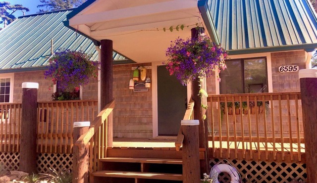 The Shell Shack-Darling and peaceful cottage