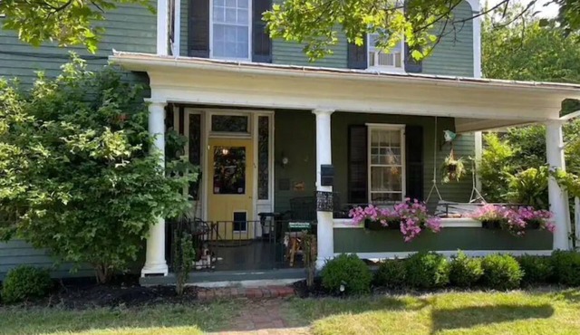 The Shenandoah Basset Dacha